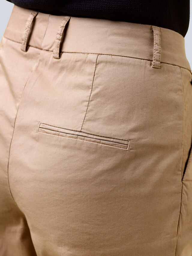 Hose mit Bundfalten 1
