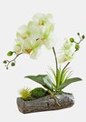 Composition d'orchidées thumbnail 1