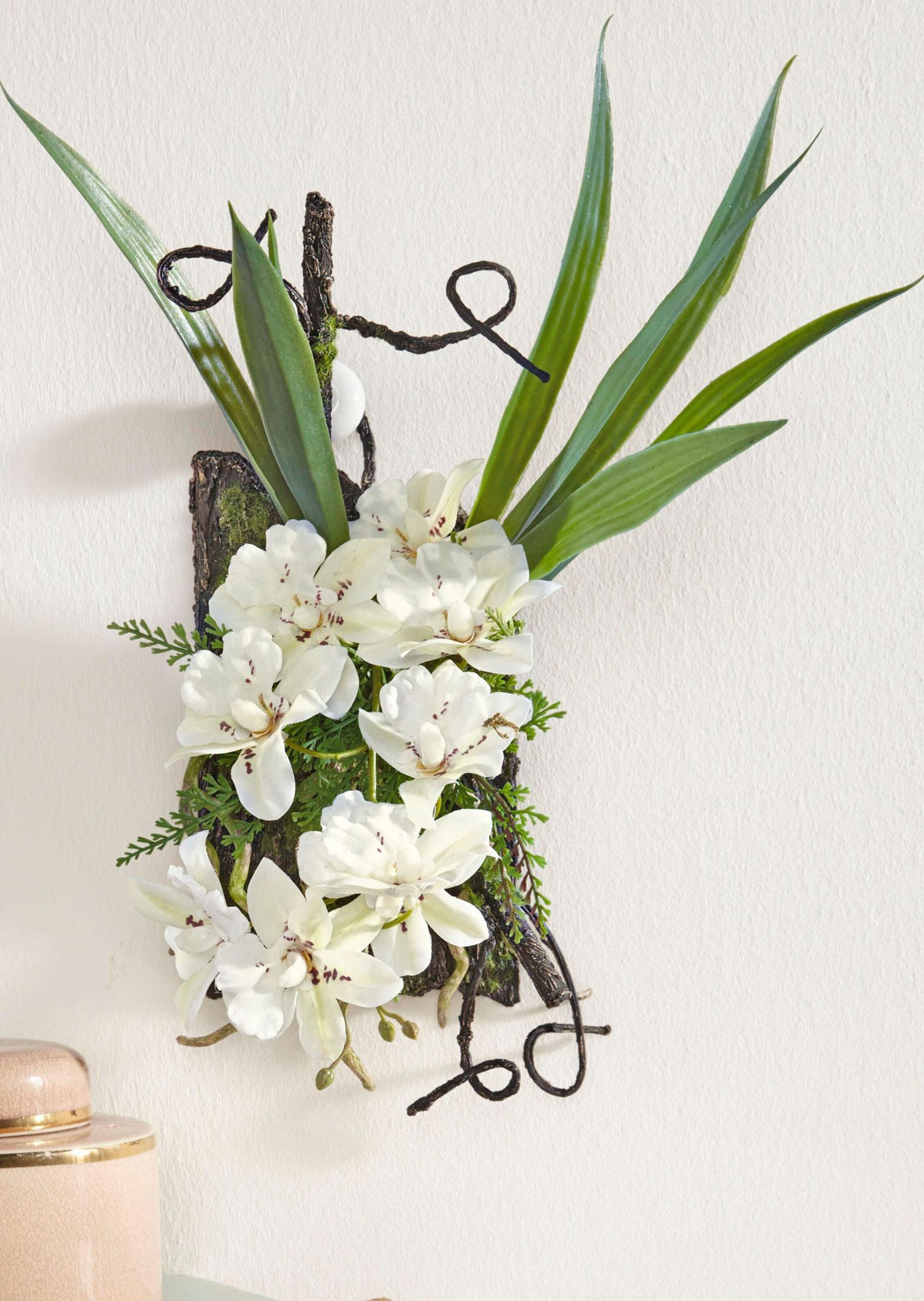 Dendrobium sur écorce