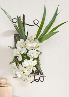 Dendrobium sur écorce thumbnail 1