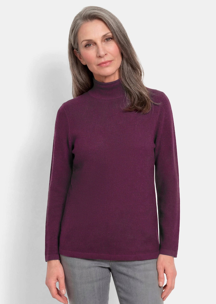 Fijn gebreide tricot pullover met opstaande kraag