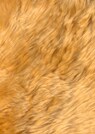 Taie d'oreiller en peau de mouton thumbnail 2