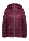 Steppjacke mit Kapuze thumbnail 2