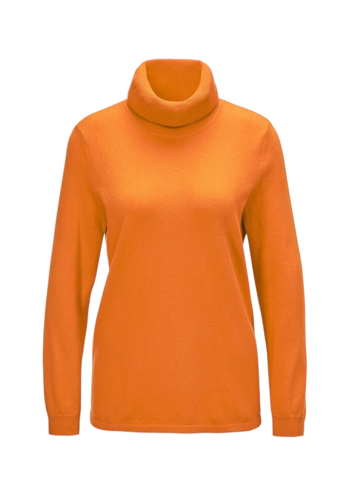 Trendiger Rollkragenpullover