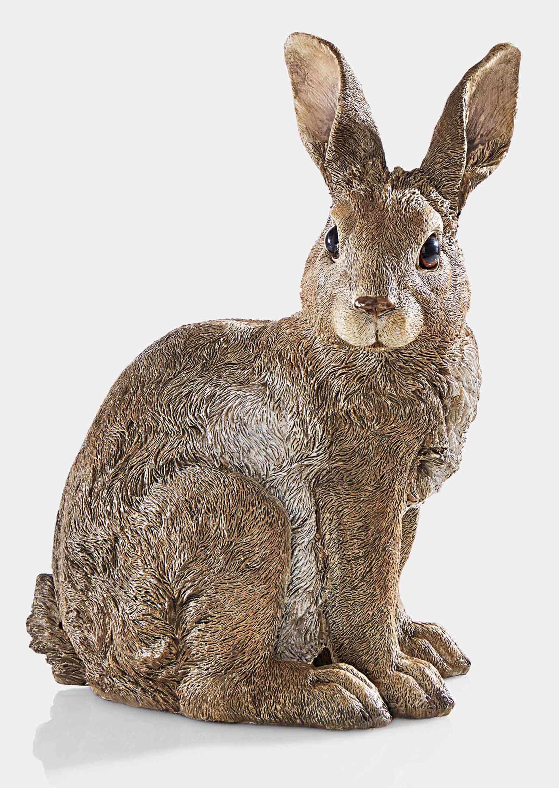 Hase sitzend