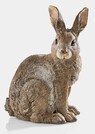 Hase sitzend thumbnail 1