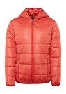 Effektvolle Steppjacke in besonders leichter Ware thumbnail 3
