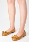 Ballerines thumbnail 1