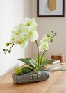Composition d'orchidées thumbnail 2