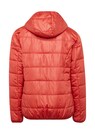 Effektvolle Steppjacke in besonders leichter Ware thumbnail 4