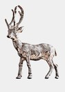 Hirsch thumbnail 1