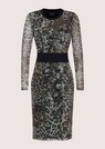 Kleid thumbnail 6