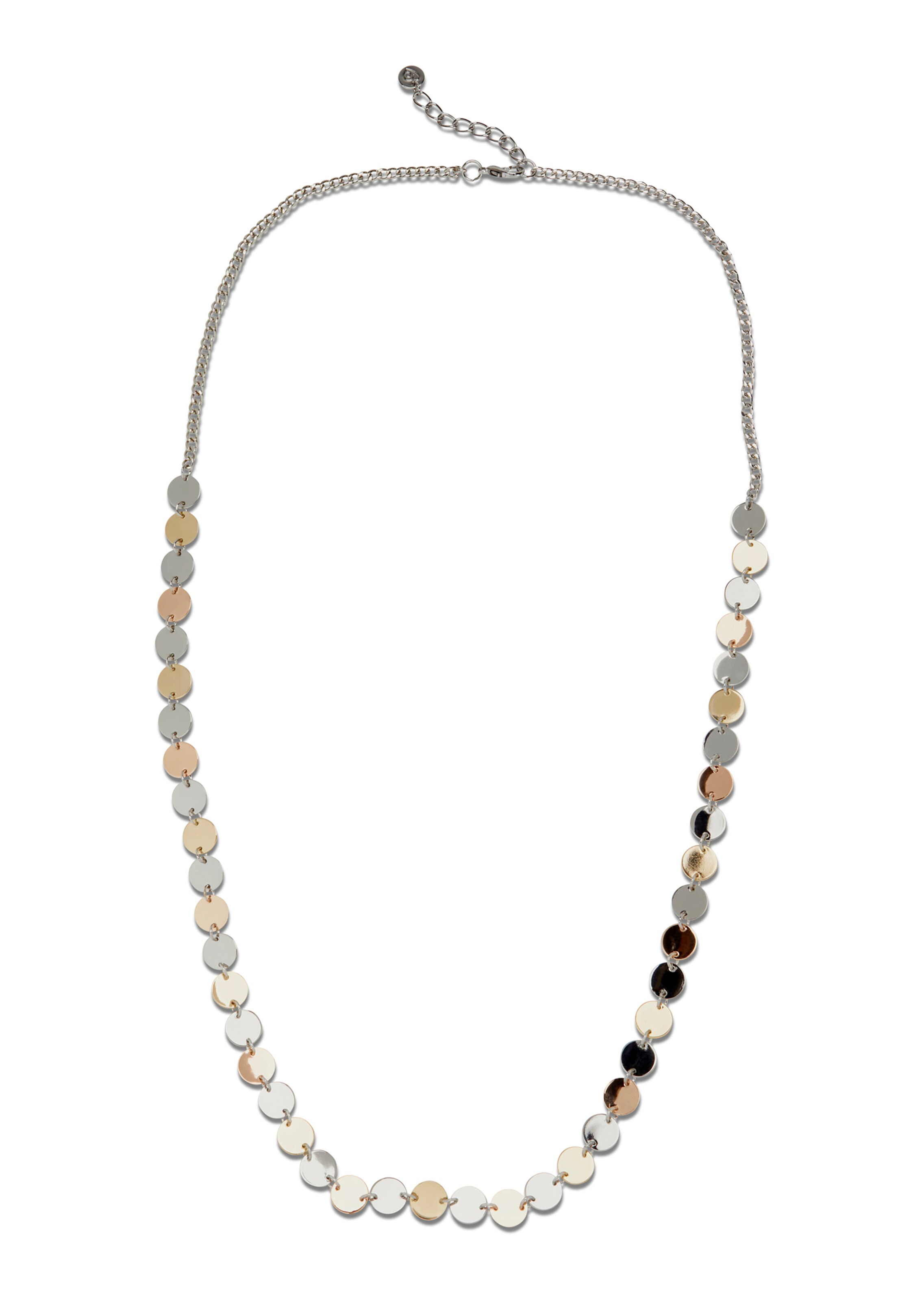 Metallkette mit Karabiner-Verschluss