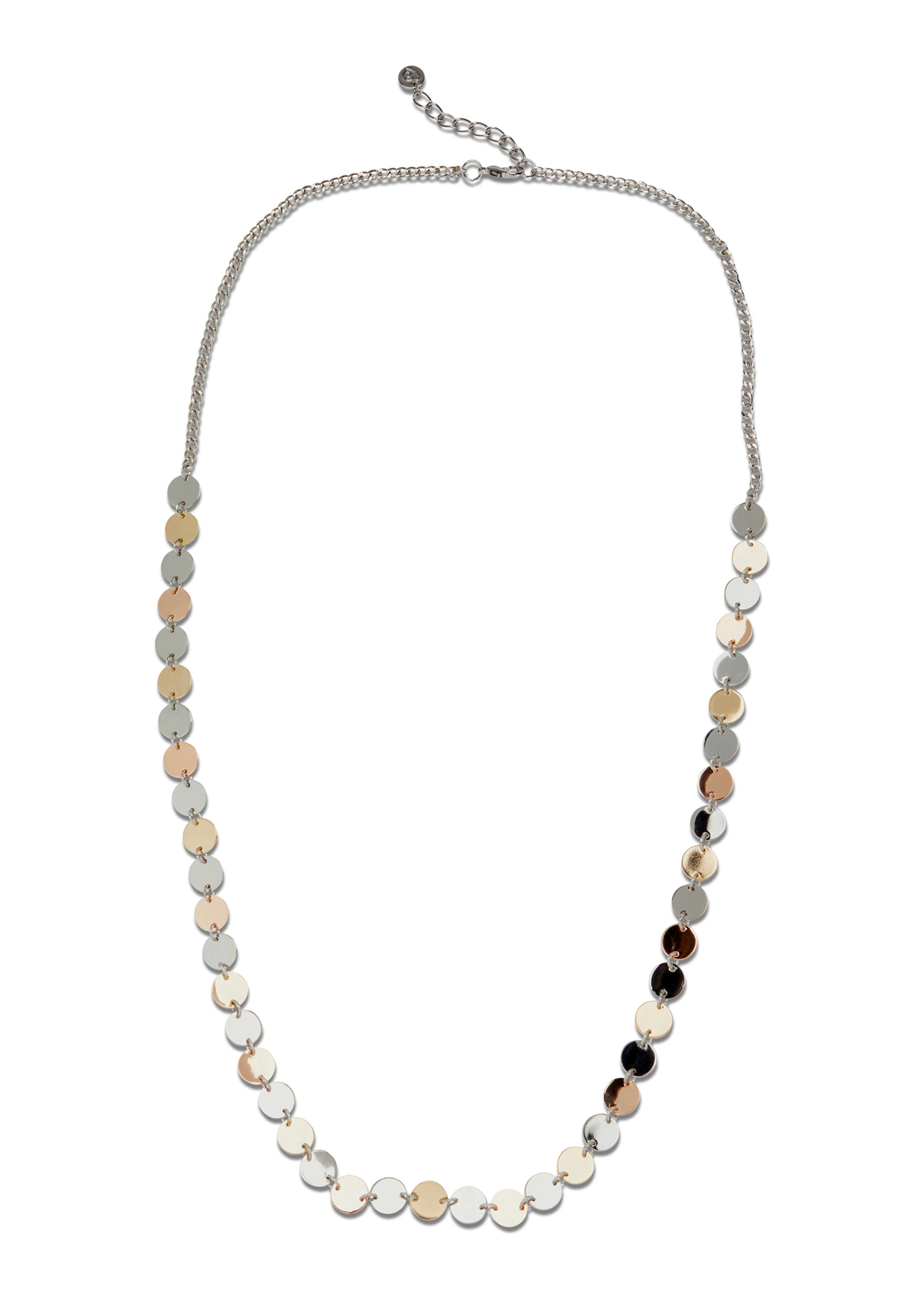 Metallkette mit Karabiner-Verschluss